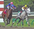 race